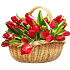 http://forum4.ru/uploads/0000/15/89/85128-1.gif