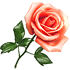 http://forum4.ru/uploads/0000/15/89/85128-3.gif