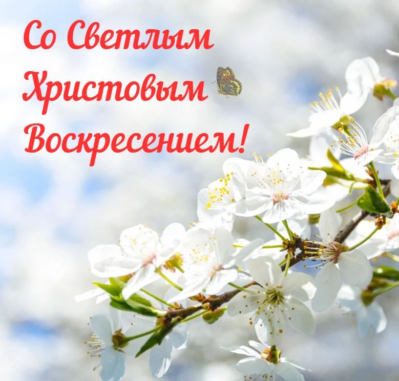 http://forum4.ru/uploads/0000/25/b8/1743/865224.jpg