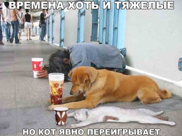 http://forum4.ru/uploads/0000/25/b8/1743/90440.jpg