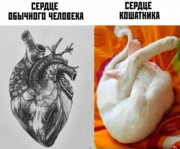 http://forum4.ru/uploads/0000/25/b8/1743/t165024.jpg