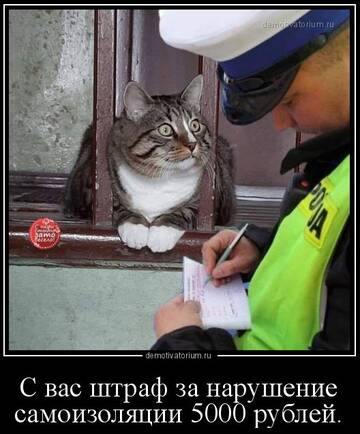http://forum4.ru/uploads/0000/25/b8/1743/t621808.jpg