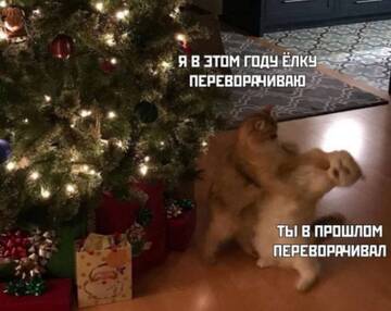 http://forum4.ru/uploads/0000/25/b8/1743/t707290.jpg