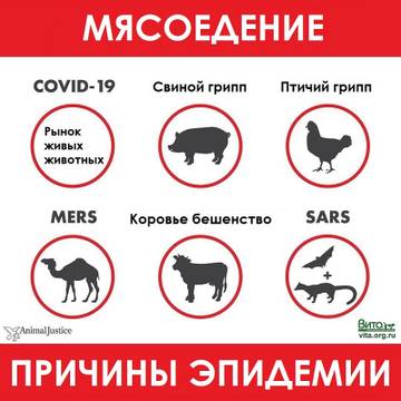http://forum4.ru/uploads/0002/c6/8a/2/t19735.jpg