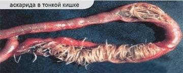 http://forum4.ru/uploads/0002/c6/8a/2/t22061.jpg