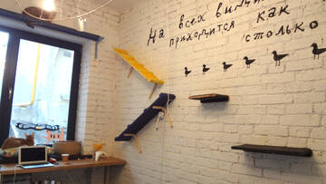 http://forum4.ru/uploads/0002/c6/8a/2/t398323.jpg