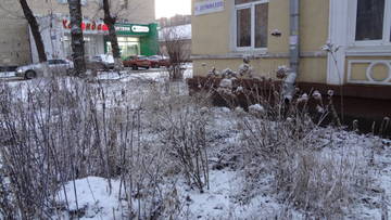 http://forum4.ru/uploads/0002/c6/8a/2/t45201.jpg