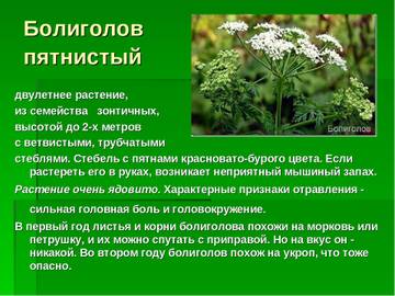 http://forum4.ru/uploads/0002/c6/8a/2/t465802.jpg