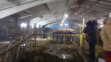 http://forum4.ru/uploads/0002/c6/8a/2/t484385.jpg