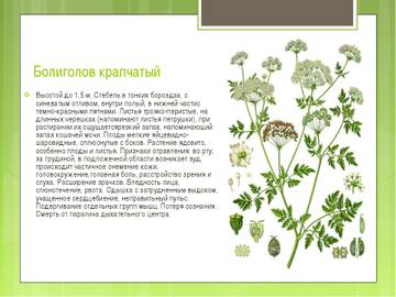 http://forum4.ru/uploads/0002/c6/8a/2/t598044.jpg