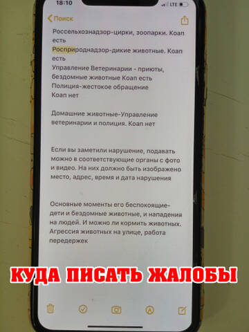 http://forum4.ru/uploads/0002/c6/8a/2/t625047.jpg