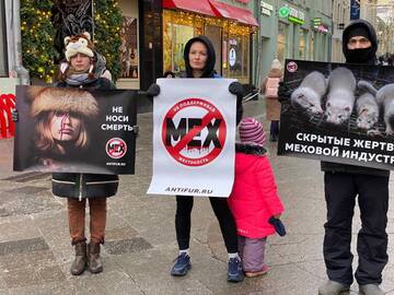 http://forum4.ru/uploads/0002/c6/8a/2/t704189.jpg