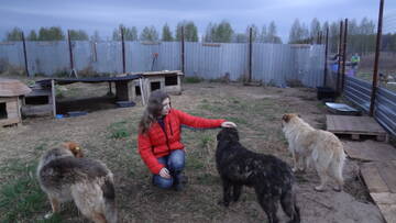 http://forum4.ru/uploads/0002/c6/8a/2/t989310.jpg