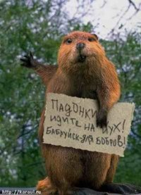 http://forum4.ru/uploads/0003/a3/4d/1340-3-f.jpg