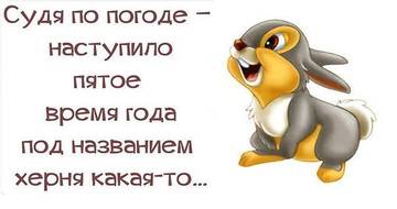 http://forum4.ru/uploads/0004/02/e8/7248/t43806.jpg