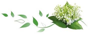 http://forum4.ru/uploads/0004/02/e8/7248/t99032.jpg
