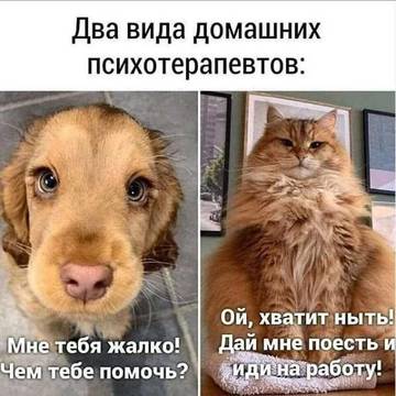 http://forum4.ru/uploads/000a/3f/42/512/t180385.jpg
