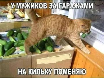 http://forum4.ru/uploads/000a/3f/42/512/t332347.jpg