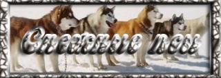 º ♦Снежные псы♦ º 