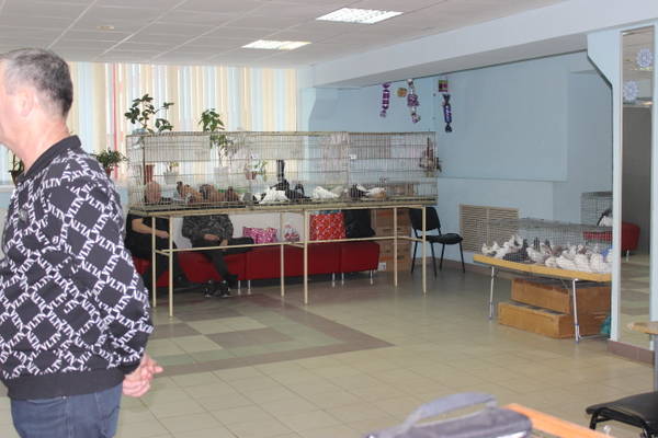 http://forum4.ru/uploads/000f/56/66/510/t41661.jpg