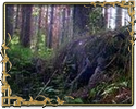 http://forum4.ru/uploads/0010/32/73/80-5.png