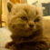 http://forum4.ru/uploads/0010/e9/37/169/80057.gif