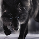 http://forum4.ru/uploads/0012/32/1d/65/66788.png
