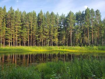 http://forum4.ru/uploads/0015/14/ca/6/t142542.jpg