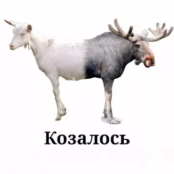 http://forum4.ru/uploads/0015/14/ca/6/t404869.webp