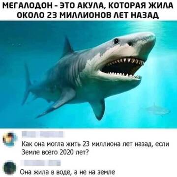 http://forum4.ru/uploads/0015/14/ca/6/t458476.jpg