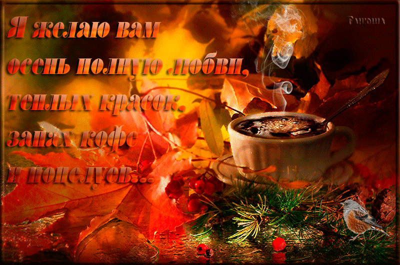 http://forum4.ru/uploads/0015/f8/d0/22/162056.gif