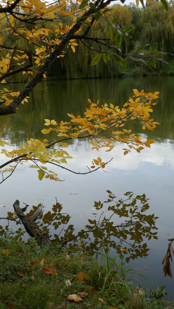 http://forum4.ru/uploads/0016/ef/6f/2/t155690.jpg