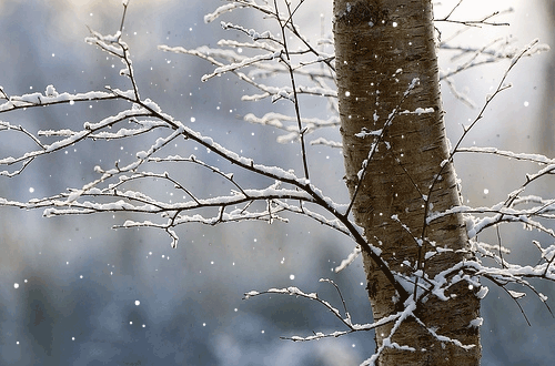 http://forum4.ru/uploads/0016/ef/6f/2/t57492.gif