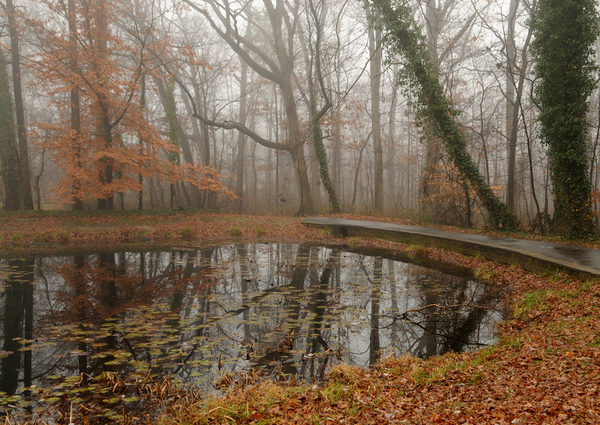 http://forum4.ru/uploads/0016/ef/6f/2/t62518.png
