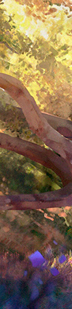http://forum4.ru/uploads/0018/28/7e/883/459876.png