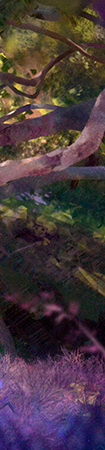 http://forum4.ru/uploads/0018/28/7e/883/944459.png