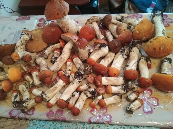 http://forum4.ru/uploads/001a/a8/fa/4/t100628.jpg
