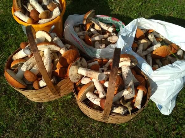 http://forum4.ru/uploads/001a/a8/fa/4/t124104.jpg