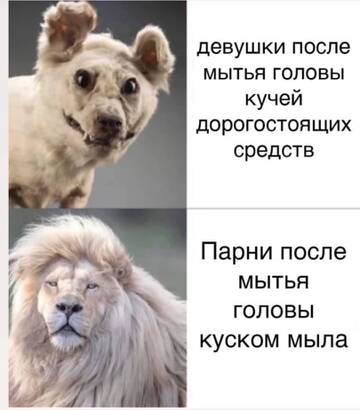 http://forum4.ru/uploads/001a/dd/52/126/t887598.jpg