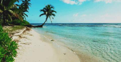 http://forum4.ru/uploads/001a/e1/7e/7/t476198.gif