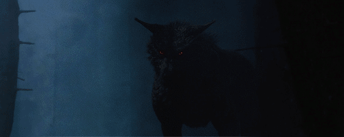 http://forum4.ru/uploads/001a/e4/67/2/812070.gif