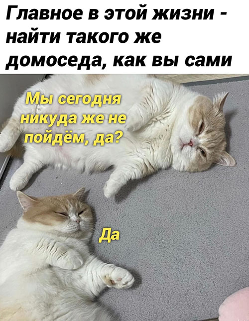 http://forum4.ru/uploads/001b/58/4b/7/788468.jpg