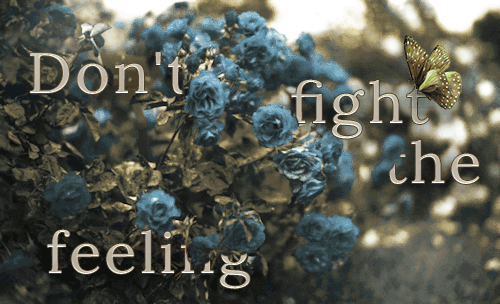 http://forum4.ru/uploads/001b/67/41/2/721494.gif