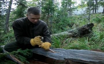 http://forum4.ru/uploads/001b/ba/1d/3/t157683.jpg