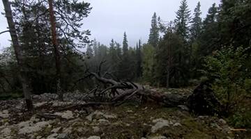 http://forum4.ru/uploads/001b/ba/1d/3/t613001.jpg