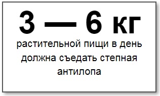 http://forum4.ru/uploads/001b/ba/1d/45/121845.jpg