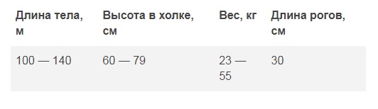 http://forum4.ru/uploads/001b/ba/1d/84/571086.jpg