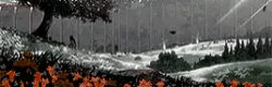 http://forum4.ru/uploads/001b/cb/74/266/653760.gif