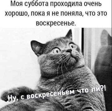 http://forum4.ru/uploads/001c/58/e1/5/t512553.jpg