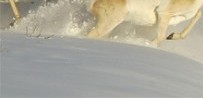 https://forum4.ru/uploads/0000/35/39/346329-1.jpg